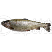 https://cdn.forie.com/storage/resize/images/products/8477a417-b775-4248-a0f6-236aec5f79ea.png