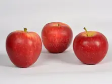 Gala des pommes