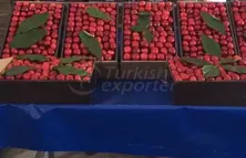 Ziraat 0900 Cherries