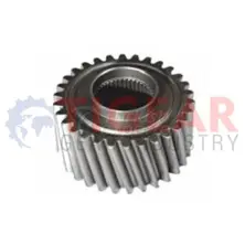 Differential Gear 100.03.1011