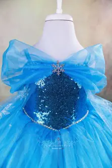 Frozen Elsa With Petticoat