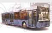 Cityl Bus 203