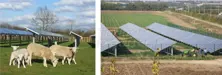 مزرعة شمسية