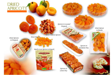 https://cdn.forie.com/storage/resize/images/products/9fd7e96d-fc7b-4b40-87a0-93c198118ab9.png