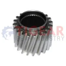 Differential Gear 100.03.1005