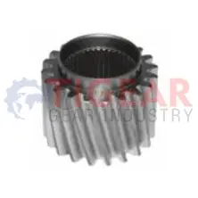 Differential Gear 100.03.1004