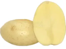 Batata comestível BORWINA