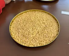 https://cdn.forie.com/storage/resize/images/products/b22e7ddd-e9fd-4c0e-907c-1cf4a5a451ac.jpeg