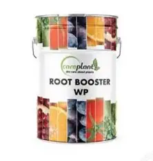 Aminoasit Root Booster WP
