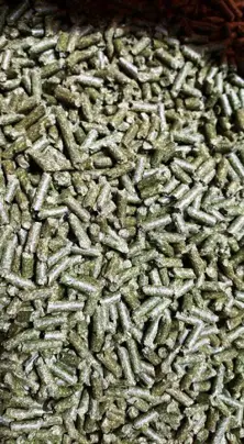 Alfalfa pellet