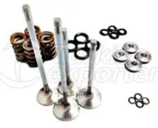 Engine Valve, Valve Guide, Valve Seat Ring, Spring and Cotter