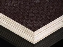 Plywood Honey Comb Surface