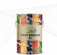 Aminoasit Root Booster SL