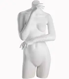 Display Mannequin Bust Collections