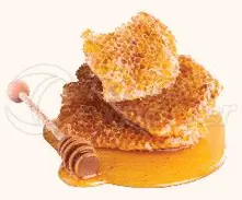 Jam - Marmalade - Honey