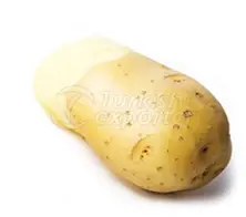 البطاطس