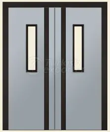 Лифтовая дверь A-4260