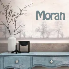 Seramik Moran