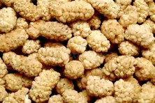 Dried Mulberries