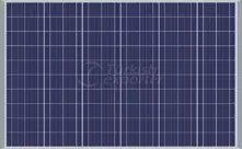 Polycrystalline Solar Panel 60P
