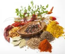 Spices - Mixtures