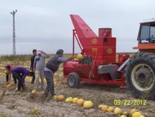 Pumpkin Seed Extraction Machin
