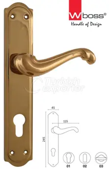 Aslan Brass Door Handle