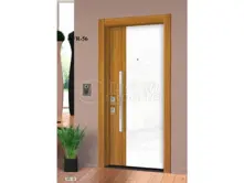 الباب الفولاذي - SFR - 56