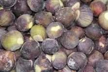 Frozen Fruits -Fig