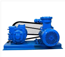 FUEL &LPG TRANSFER VANE PUMP WITH BELT SET