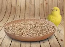 Canary Seeds