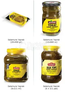 https://cdn.forie.com/storage/resize/images/products/f69f2803-f6df-4021-a948-8d6812baad06.jpg