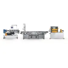 Pps-Pa Pipe Extruder Lines