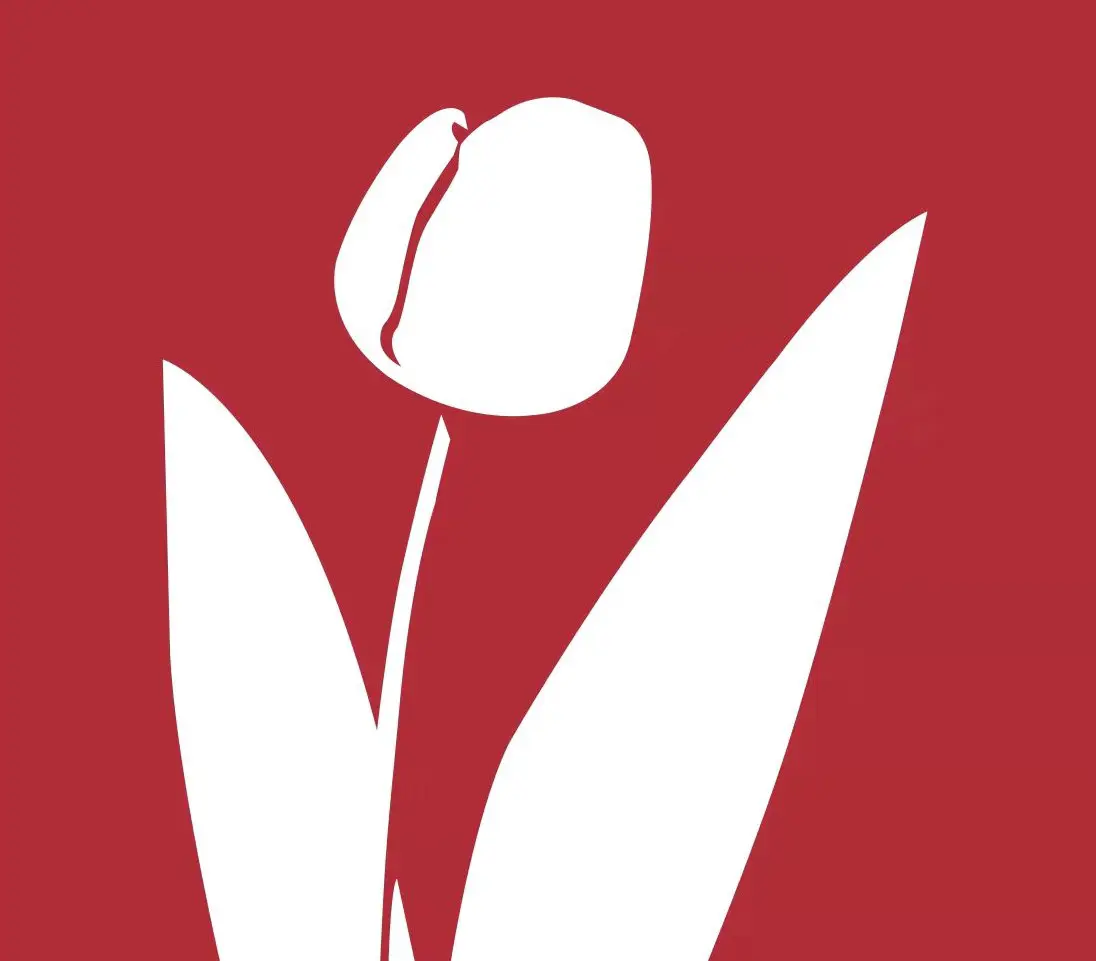 Hangzhou Morphrow Import