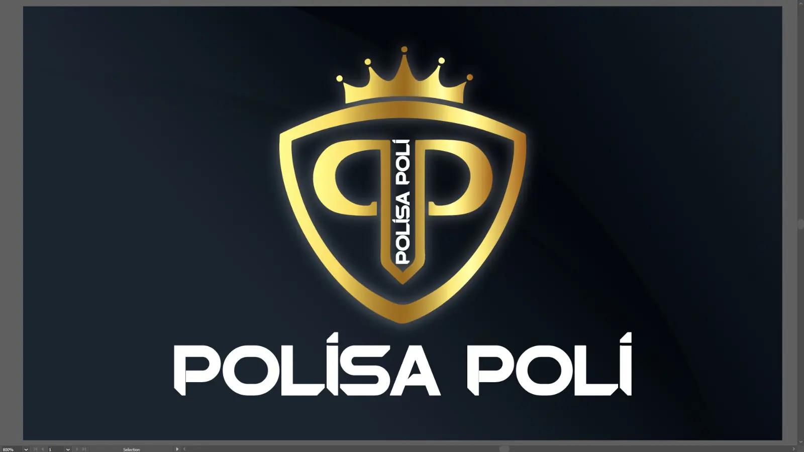Polisa Poli Ayakkabicilik San. ve Tic. Ltd. Sti