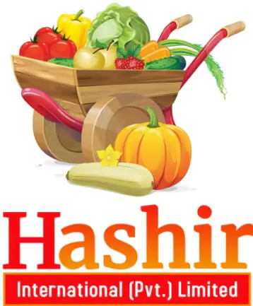 Hashir International Private Limited