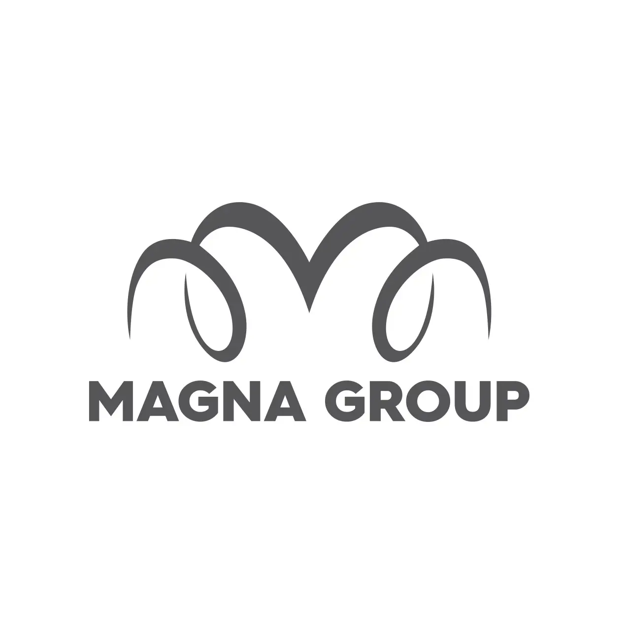 Magna Group Saglik Hizmetleri Tibbi Urunler Kimyevi Maddeler Enerji Hayvancilik Sanayi ve Ticaret Limited Sirketi