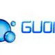 Shanghai Guomei Pump Co. Ltd.