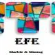 Efe Import & Export Company