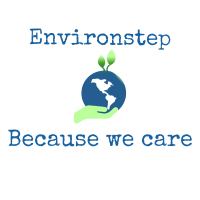 Environstep