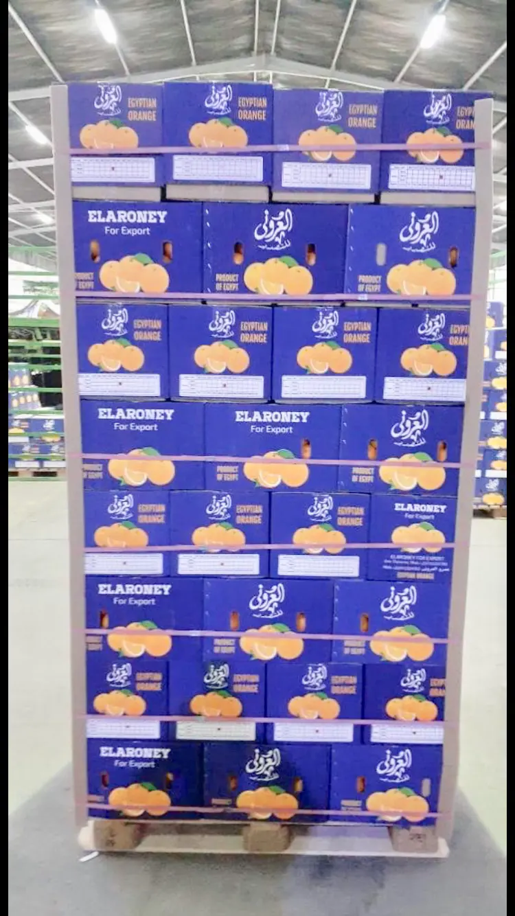 Elaroney for Export