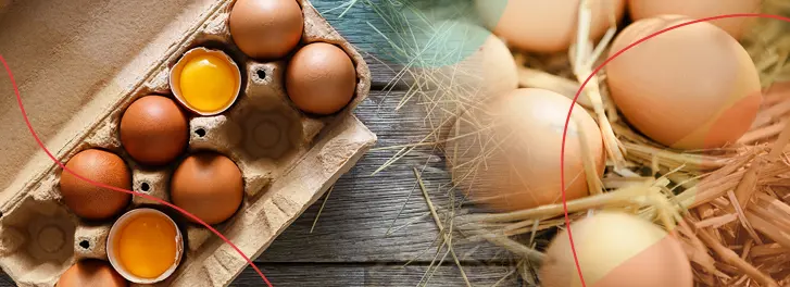 Kor Agro Organik Gida A. S.