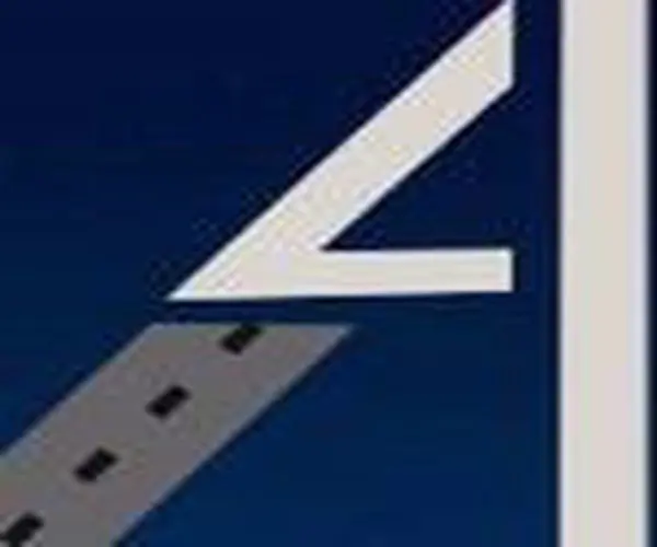 Asian Logistics Llc logo