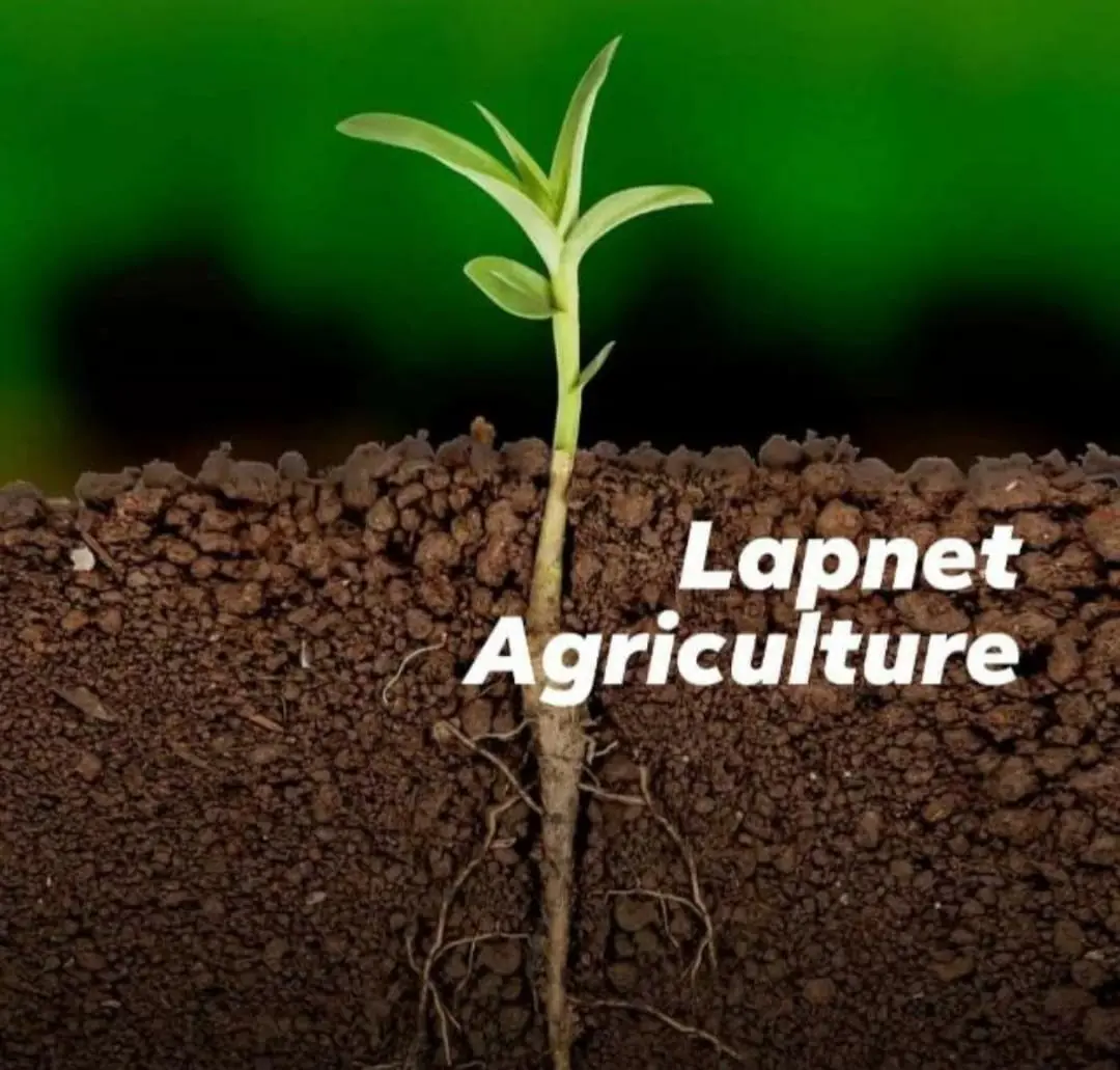 Lapnet Agriculture logo
