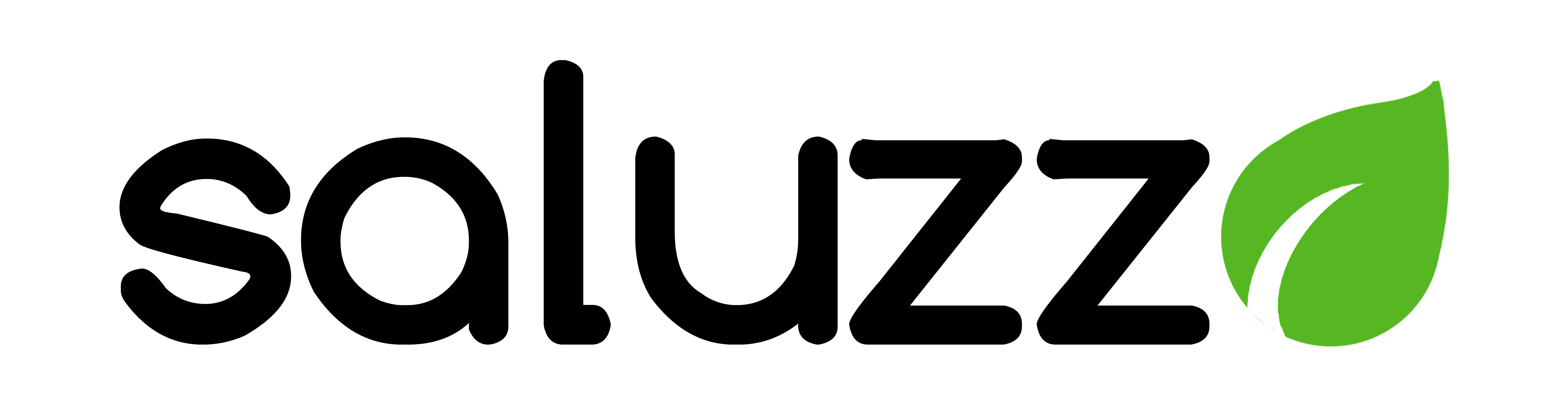 Saluzzo Limitada logo