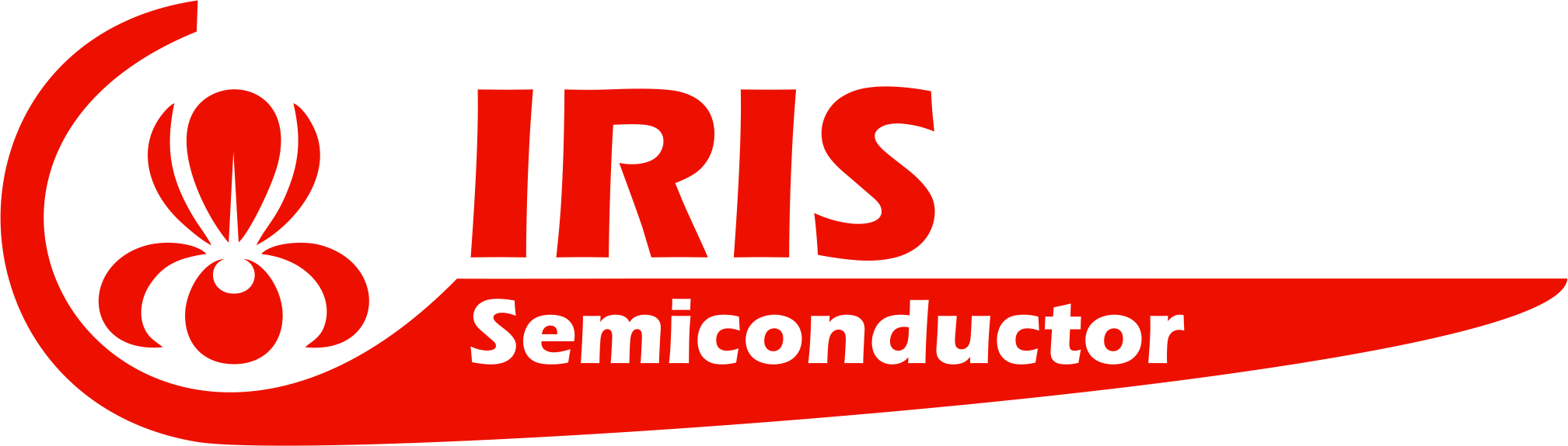 IRIS SEMICONDUCTOR DIS TICARET ITHALAT IHRACAT LIMITED SIRKETI