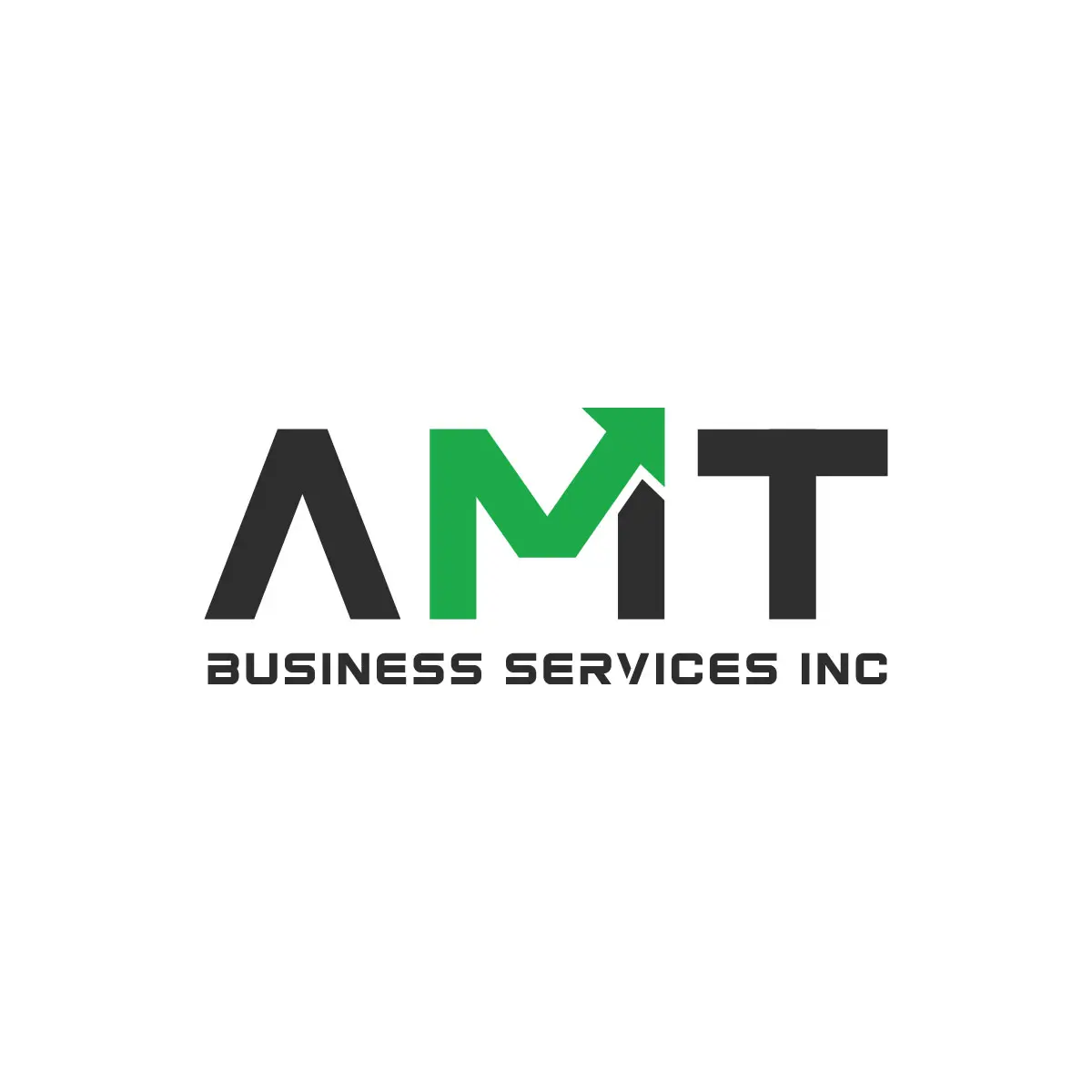Amt Business Services Inc. logo
