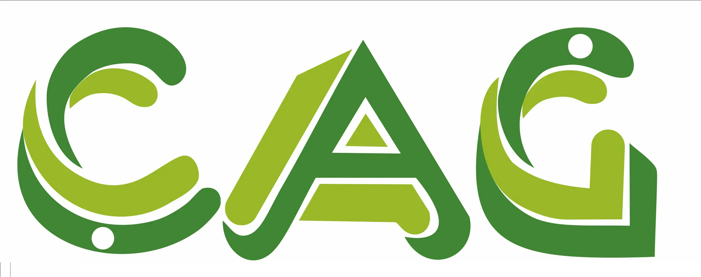 Cag Gida Ambalaj Tekstil San. Tic. A. S. logo