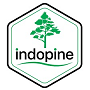 Pt. Nasco Indopine logo