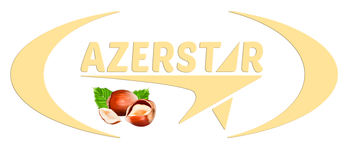 Azerstar Llc logo